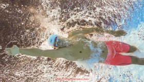 世俱杯直播-伊布拉希莫维奇是否曾在中超联赛效力的真实情况解析